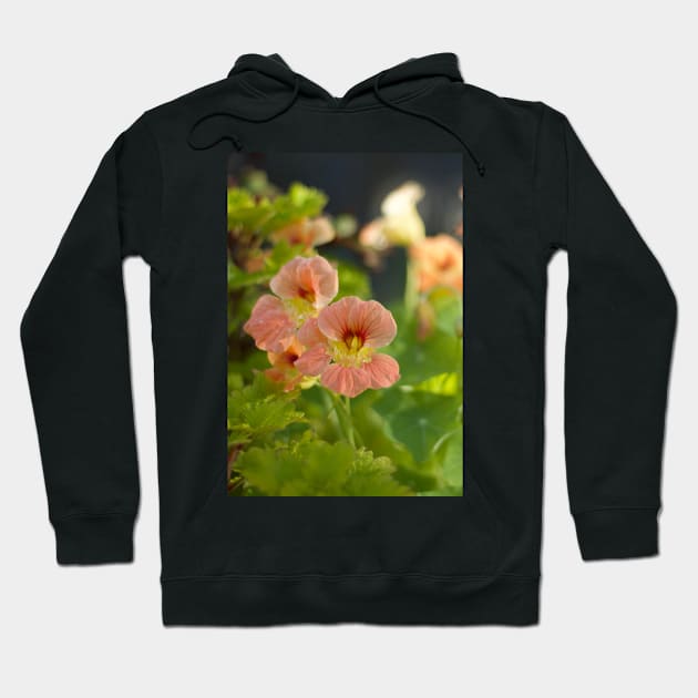 Nasturtium Hoodie by MistyLakeArt